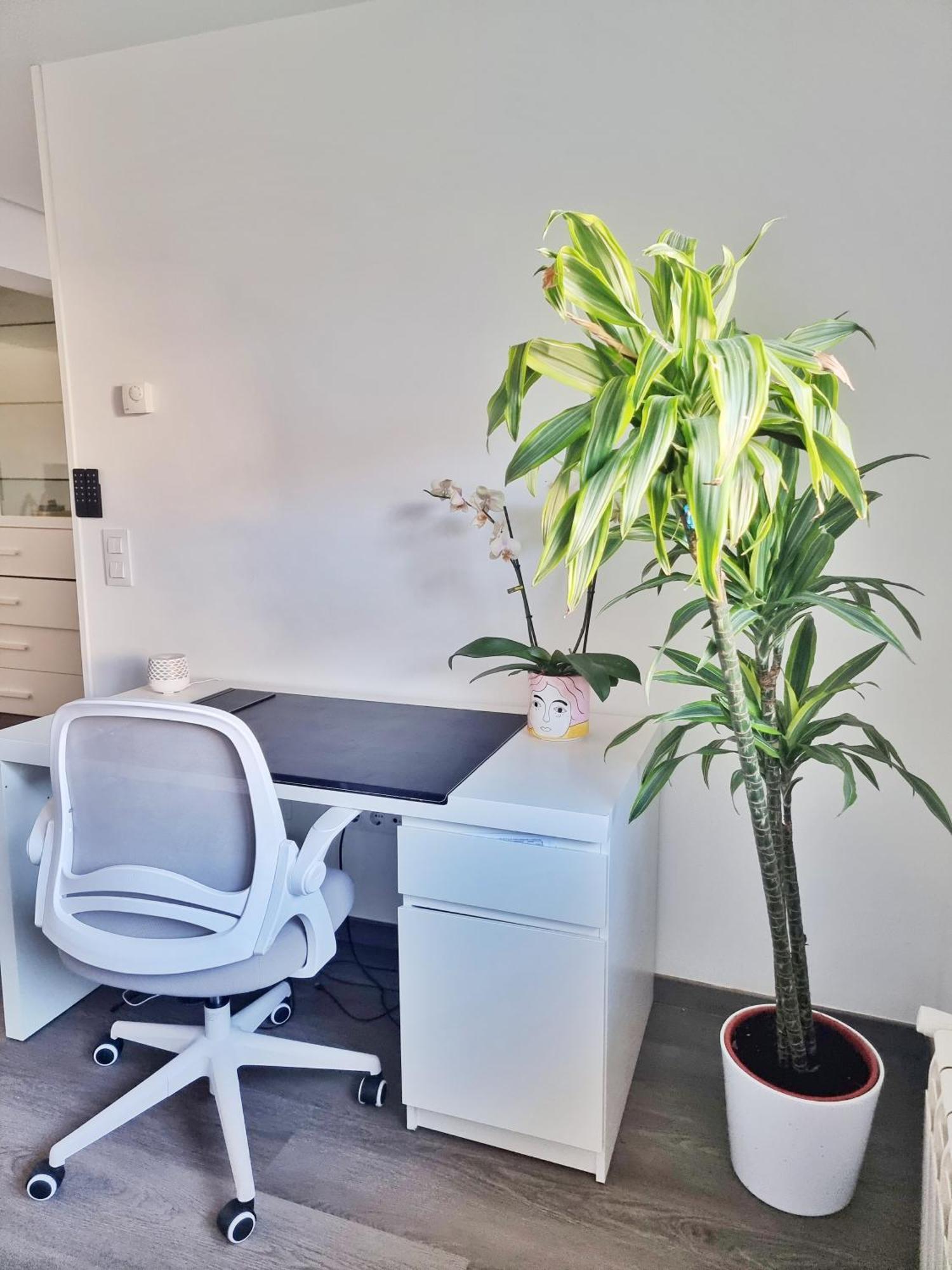 Renovado Cerca Zona Vieja Apartment *